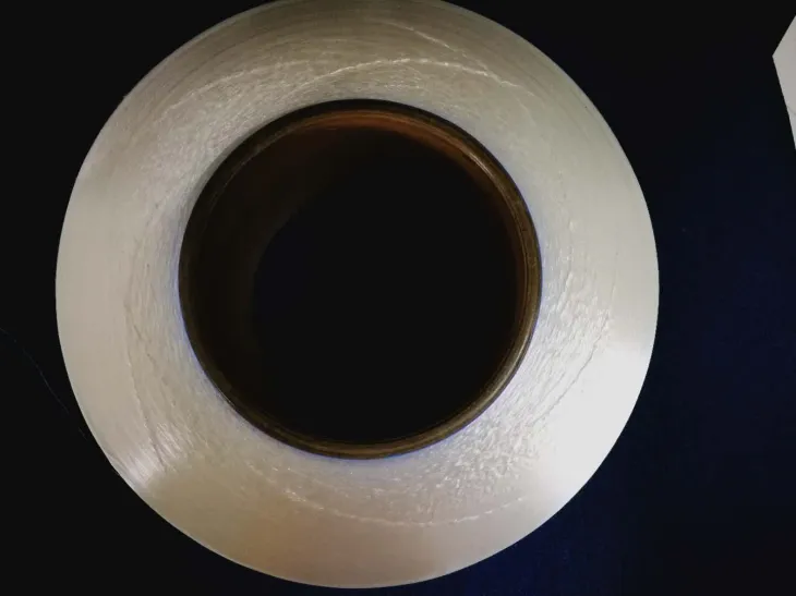 پالئیےسٹر Fdy 30 ڈینئر / 24 فی میل